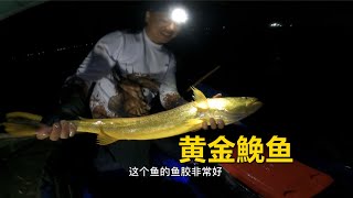 【阿牛赶海】 棒打狍子瓢舀鱼，阿牛花三百块租捕鱼船，又是满载而归