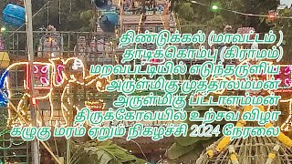 கழுகுமரம் ஏறும் காட்சி /திண்டுக்கல் மாவட்டம் தாடிக்கொம்பு கிராமம் /மறவபட்டி#திருவிழா 2024