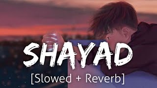 Shayad [Slowed+Reverb] | Arijit Singh | Lofi | Revibe