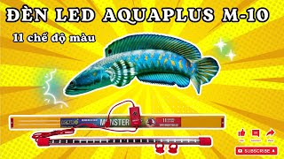 Unbox và hướng dẫn sử dụng đèn LED Aquaplus M10 - 11 chế độ màu cho các loại bể cá cảnh