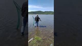 9kg carp fish. 9კილოგრამიანი საზანი ტყიბულის წყალსაცვზე.