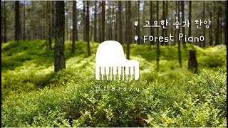 숲과찬양 | CCM피아노연주 | Forest Piano | Worship | Quiet Time | Pray | Christian Piano | Comfort