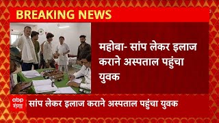 Mahoba से सामने आई अजबों गरबी खबर, सांप लेकर इलाज कराने अस्पताल पहुंचा युवक