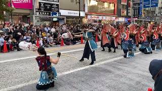 早稲田大学よさこいチーム東京花火『はれびより』2023年10月7日東京よさこい＠池袋