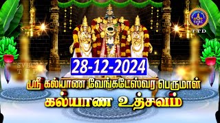 Sri Kalyana Venkateswara Swamy Kalyanam | Srinivasa Mangapuram | SVBC2 Tamil | 28-12-2024 | SVBC TTD