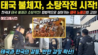 [해외감동사연] 태국 불법 체류자 내부 전쟁이 시작되었다! 태국인 노동자 한국에서의 생존기, 강한 단속 강화로 더욱 은밀해지고 교묘해진 불법 체류자!