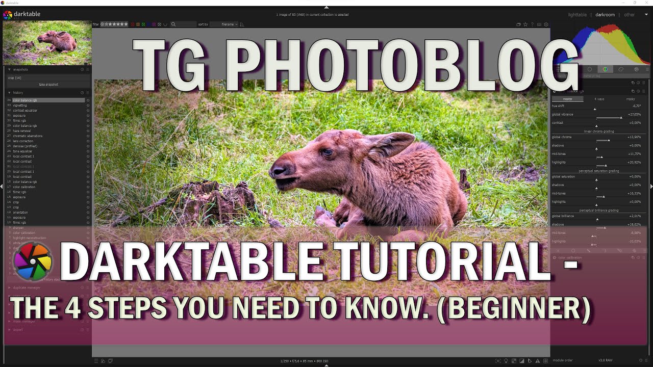 Darktable Full Edit Start With These 4 Simple Steps Youtube