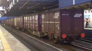 夕方の甲府駅に行ってきた / E351系スーパーあずさ・E257系あずさ・211系・EH200コンテナ貨物列車等