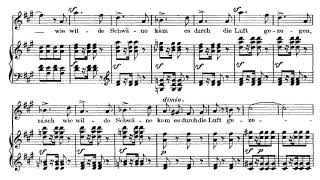 Neue Liebe(F. Mendelssohn)성악반주 Piano Accompaniment