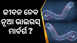 ଚିନ୍ତା ବଢ଼ାଇଲା ନୂଆ Marburg virus | Big Breaking News | Odia News