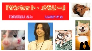 『サンセット・メモリー』（Vo:杉村尚美さん）Liveﾊﾞｰｼﾞｮﾝ（字幕）