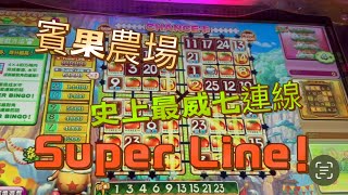 湯姆熊 Tom’s World 賓果農場 史上最多條連線 居然破萬分！Super Bingo 超級幸運大獎 ｜小幸運大樂趣