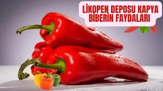 KAPYA BİBERİN FAYDALARI/KAPYA BİBERİN AZ BİLİNEN 10 FAYDASI/KAPYA BİBER BUZLUKTA NASIL SAKLANIR?