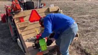 141 Felling an old Cottonwood Tree