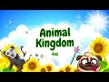 Sleep Meditation for Children | ANIMAL KINGDOM 4in1 | Bedtime Sleep Story for Kids