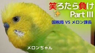 【笑ろたら負けpartⅢ】国税局 VS メロン課長　おしゃべりインコメロンちゃん