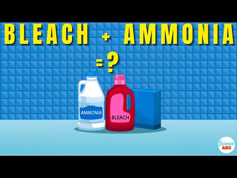 What is the bleaching reaction?