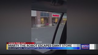 Watch: Robot assistant, Marty, escapes from GIANT grocery store