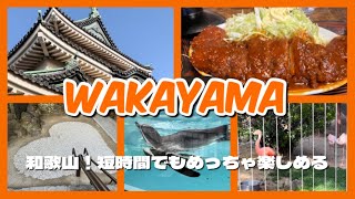 【vlog】短時間で和歌山を満喫！和歌山城に動物園あの人気店でお食事！