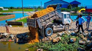 Start New Project! Landfill on Flooded Area by Dozer KOMATSU D20A \u0026 5Ton Truck Push Rock Into Water