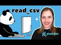Python pandas read_csv // Load a CSV into pandas from a file or URL // index_col, na_values, nrows