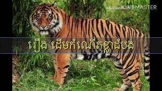 ស្ដាប់រឿងនិទានខ្មែរ រឿង​ដេីមកំណេីតស្ដេចខ្លាដំបង