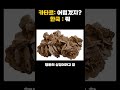 21세기 세계 최고의 걸작 우리나라 건설 시공 레전드