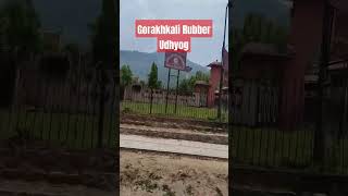 Gorakhkali Rubber Udhyog #music #beach #love #travel #viral #deadpool #nepal