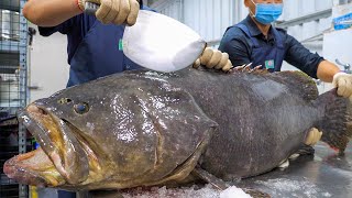 Amazing Fish Cutting Skills, Taiwanese Seafood Collection! / 驚人的技巧！魚的切割技能大合集