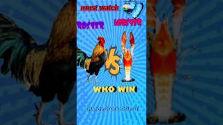 ROSTER🐓 V/S LOBSTER 🦞 മരണത്തിലും പിരിയാതെ ..😭. @GuppyBrohobbyist #shortvideo #trending #shorts