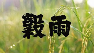 【戴老師說節氣時間】廿四節氣～穀雨