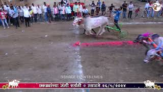 कात्रपचा नाग्या VS भिंगारीचा गरुड | छकड्यांच्या जंगी शर्यती - उसाटने २६/५/२०२४