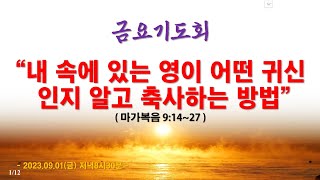 온라인 금요기도회(2023.09.01/금) 내 속에 있는 영이 어떤 귀신인지 알고 축사하는 방법(마가복음 9:14~27)_동탄명성교회 정보배목사