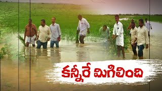 Mahabubnagar Rains | ఉమ్మడి మహబూబ్ నగర్ జిల్లాలో కురిసిన అధిక వర్షాలవల్ల నష్టపోయిన  అన్నదాతలు