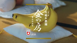 【天晴れ農園 金の房】CM「ざぶとん」篇 30秒