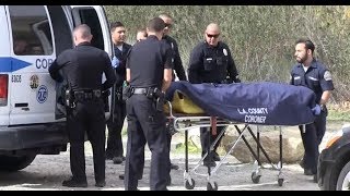Actor Mark Salling dies weeks after child porn guilty plea