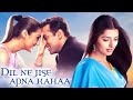 Dil Ne Jise Apna Kahaa (2004) - Superhit Hindi Movie | Salman Khan, Preity Zinta, Bhoomika Chawla