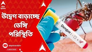 WB Dengue Update: ডেঙ্গি নিয়ে বাড়ছে উদ্বেগ, এক সপ্তাহে বাংলায় আক্রান্ত ৬৭৫ জন| ABP Ananda LIVE