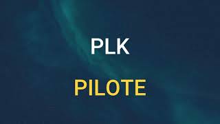 🎧 PLK - PILOTE (SLOWED \u0026 REVERB)