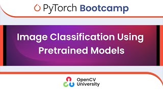 Pytorch Bootcamp for Beginners - 4 | Image Classification Using Pretrained Models