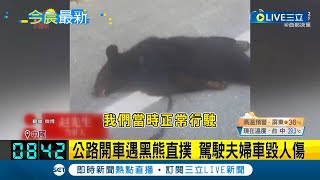 熊出沒注意! 中國黑龍江夫婦開車出遊 行駛高速公路慘遭黑熊直撲攻擊 車毀人傷送醫判定腦震盪 車主擬向政府究責│記者 黃瓊慧│【國際大現場】20230709│三立新聞台