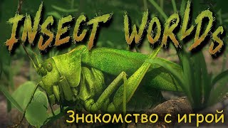 Знакомство с игрой. Insect Worlds.