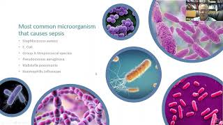 Clinical Applications of Procalcitonin in an Emergency and In-Patient Setting