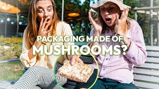 BioBubble: Pioneering Eco-Friendly Packaging for a Greener Tomorrow