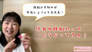 【母乳編２】母乳の仕組みについて話します！