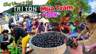 Độc lạ: Cả xóm kéo nhau đi bẻ Trâm rừng 100k đặc sản vùng 7 núi CHỢ TRI TÔN