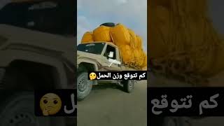 كم تتوقع وزن الحمل 🤔