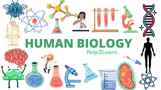 Human Biology: Tuberculosis