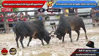 🔴 [LIVE] ถ่ายทอดสดวัวชน | สนามกีฬาชนโคสมหวัง วันที่ 27 ต.ค. 67