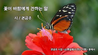 (영상시) 꽃이 바람에게 전하는 말 /소롯길 권금주 시